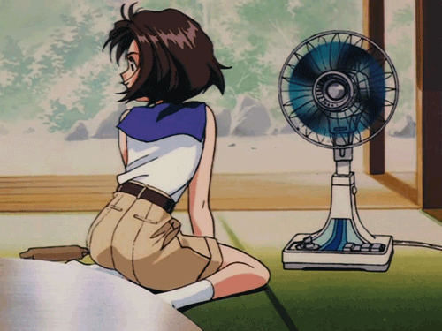 Gif 16