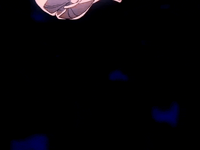 Gif 24