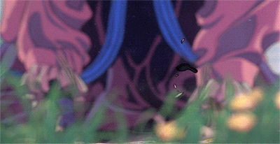 Gif 3